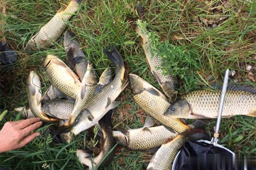 原因就在于 原因就在于