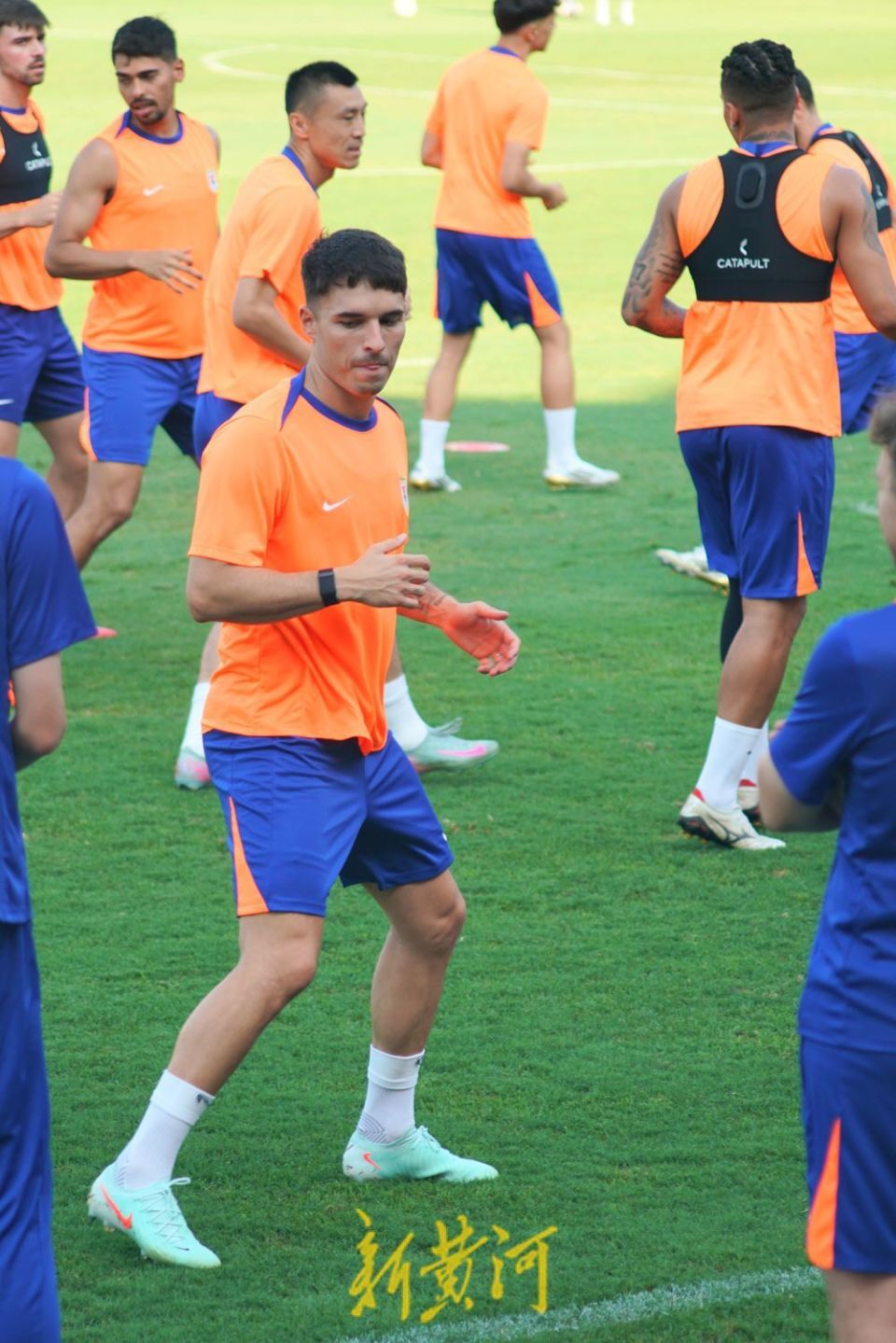 极大地丰富 极大地丰富